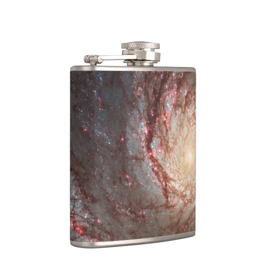 Whirlpool Galaxy Heupfles (Rechts)