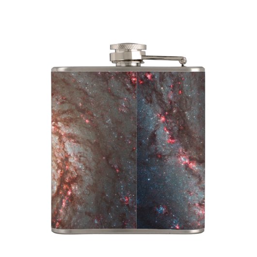 Whirlpool Galaxy Heupfles (Achterkant)