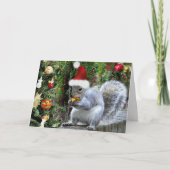Whiskas de Eekhoorn Kerst Kaart (Voorkant)