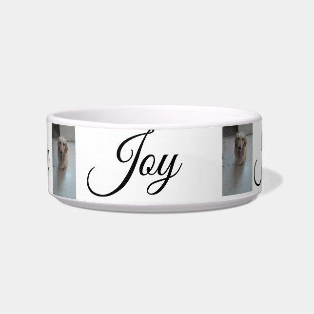 "Whisker Haven: Stijlvolle en praktische Pet Bowls Voerbakje (Voorkant)