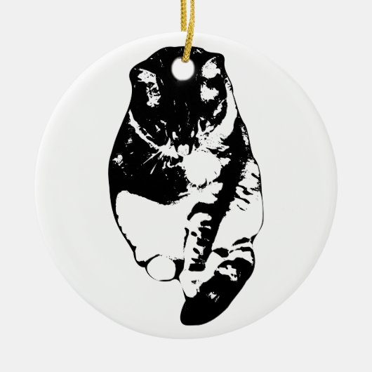 Whisker-Soft Aandenken Keramisch Ornament (Voorkant)