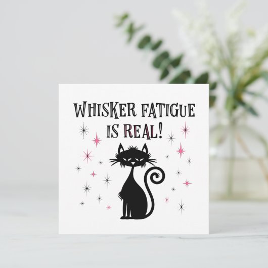 Whisker-vermoeidheid is een echt grappig kattenkat (Staand voorkant)