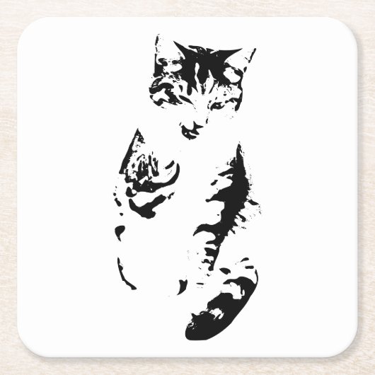 Whisker Winks Kartonnen Onderzetters (Voorkant)