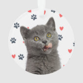 Whisker Wonderland Ornament (achterkant)