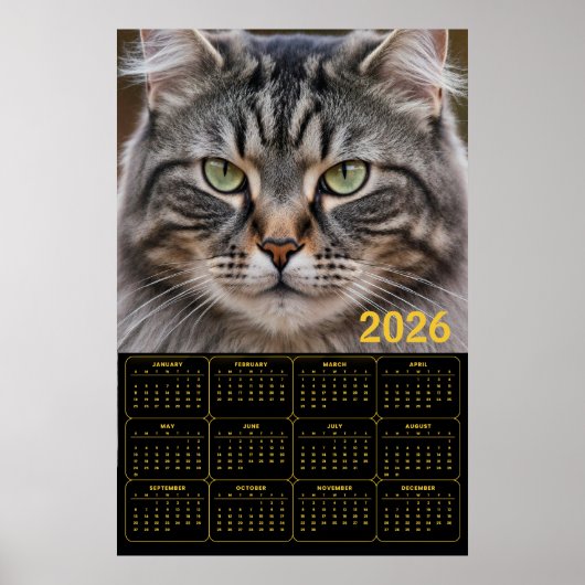 Whiskered Gaze: 2026 Tabby Calendar Poster (Voorkant)