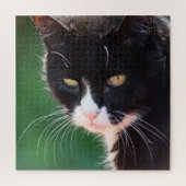 Whiskers - Cat Jigzaag Puzzle - 20x20 - 676 pc Legpuzzel (Verticaal)