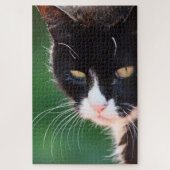 Whiskers - Cat Jigzaag Puzzle - 20x30 - 1014 pc Legpuzzel (Verticaal)