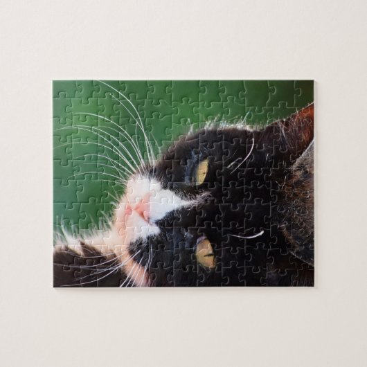 Whiskers - Cat Jigzaag Puzzle - 8x10 - 100 pc Legpuzzel (Horizontaal)