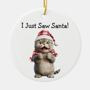 Whiskers en Winter Cheer Cat Ornament