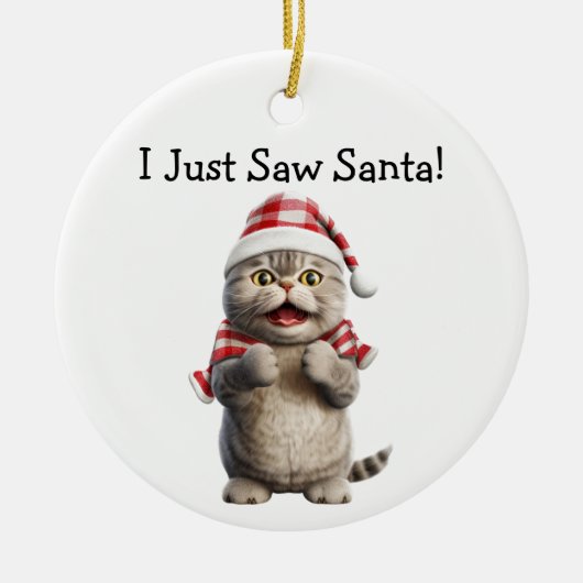 Whiskers en Winter Cheer Cat Ornament (Voorkant)