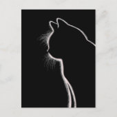 Whiskers in het donker | Cat Whisker Silhouette Briefkaart (Voorkant)