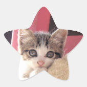 Whiskers' kitten speelgoed star stickers (Voorkant)