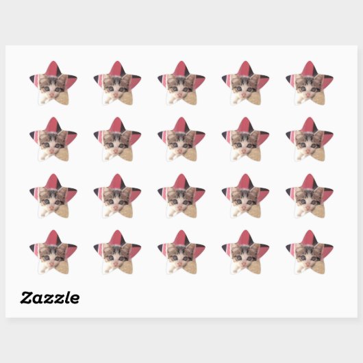 Whiskers' kitten speelgoed star stickers (Vel)
