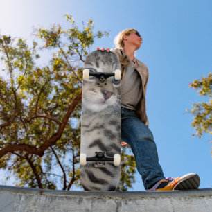 Whiskers of Trouble: Het ondeugende Tabby Kitten Persoonlijk Skateboard