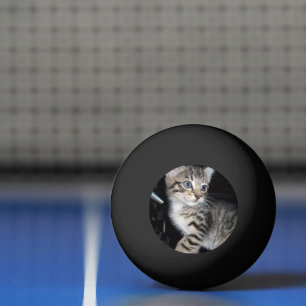Whiskers of Trouble: Het ondeugende Tabby Kitten Pingpongbal