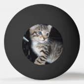 Whiskers of Trouble: Het ondeugende Tabby Kitten Pingpongbal (Voorkant)