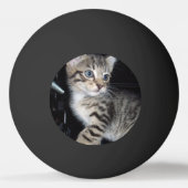 Whiskers of Trouble: Het ondeugende Tabby Kitten Pingpongbal (Achterkant)