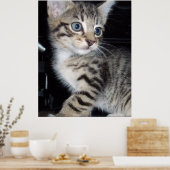 Whiskers of Trouble: Het ondeugende Tabby Kitten Poster (Keuken)
