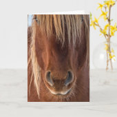 "Whiskers" Opmerking Kaart (Gele Bloem)