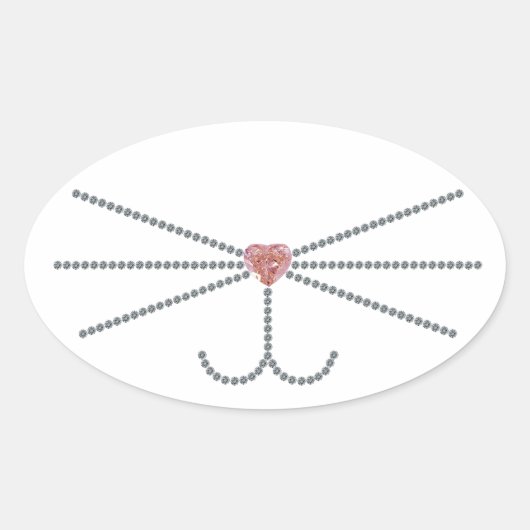 Whiskers Ovale Sticker (Voorkant)