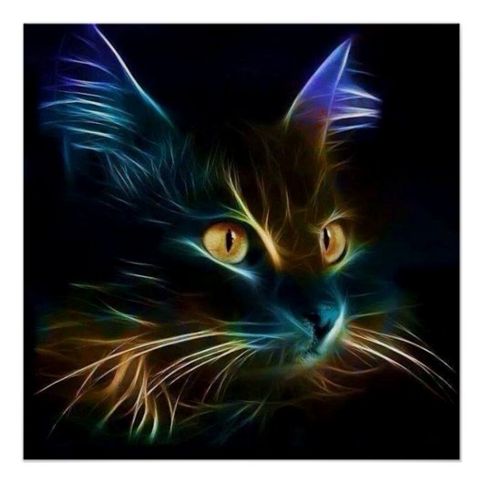 Whiskers Poster (Voorkant)