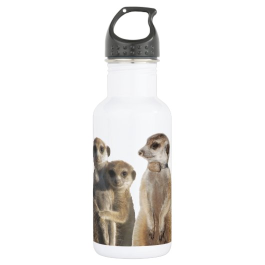 Whiskers Waterfles (Voorkant)