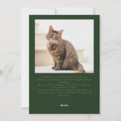 Whiskers & Wonder Cat Foto Groene Kerst Feestdagenkaart (Achterkant)