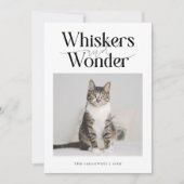 Whiskers & Wonder Cat Foto Witte Kerst Feestdagenkaart (Voorkant)