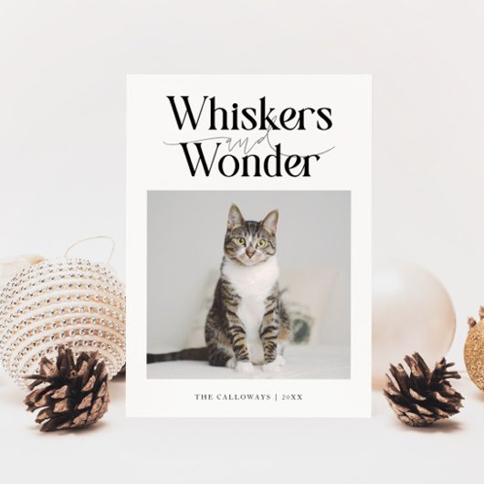 Whiskers & Wonder Cat Foto Witte Kerst Feestdagenkaart
