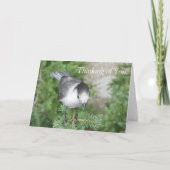 Whiskey Jack Foto Denken aan U Blank Kaart (Voorkant)