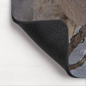 Whiskey Jack Muismat (Hoek)