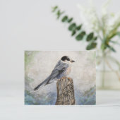 Whiskey Jack Post Card Briefkaart (Staand voorkant)