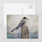 Whiskey Jack Post Card Briefkaart (Voorkant / Achterkant)