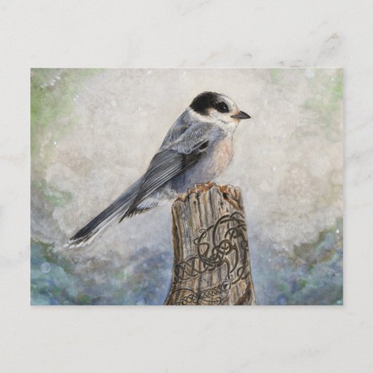 Whiskey Jack Post Card Briefkaart (Voorkant)