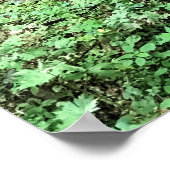 Whiskey, nog steeds in Mabry Mill, Virginia Poster (Hoek)