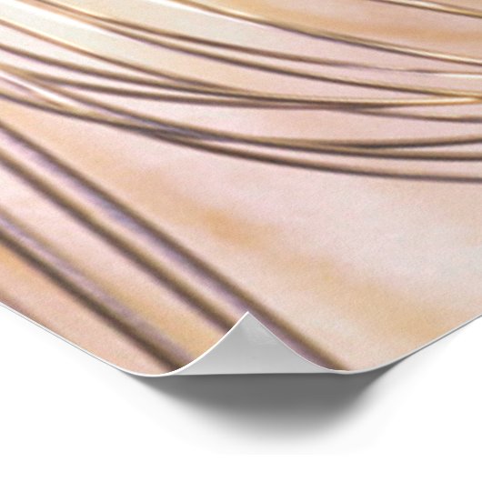 Whisks Poster (Hoek)