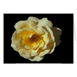 Whisky Mac Roos Card