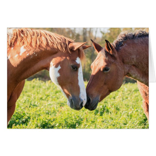 Whisper (Voorkant Horizontaal)