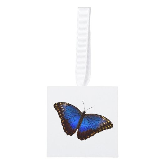 Whisper Blue Morpho Butterfly Ornament (Voorkant)