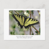 Whisper Butterfly Briefkaart (Voorkant)