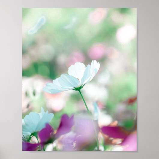 Whisper of an Afternoon Bloom Poster (Voorkant)