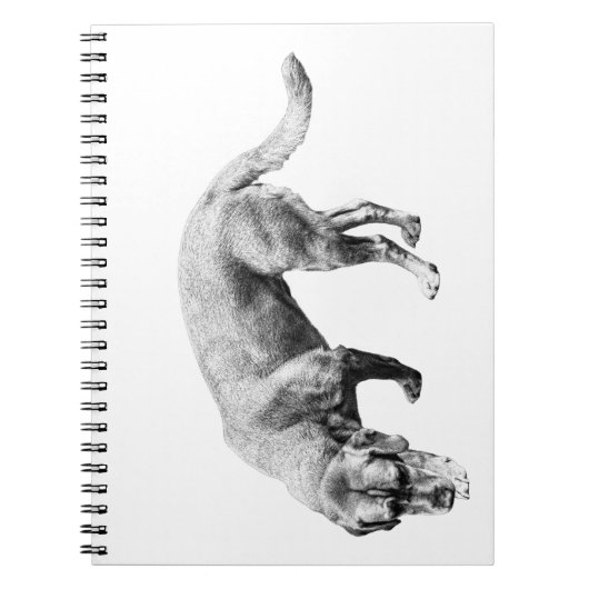 Whispered Trail Notes Notitieboek (Voorkant)