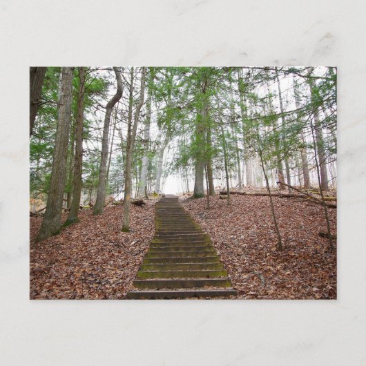 Whispering Cave, Hocking Hills State Park, Ohio Briefkaart (Voorkant)