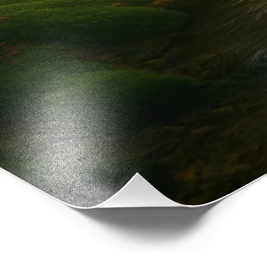 Whispering Forest Foto Afdruk (Hoek)