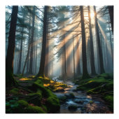 Whispering Forest Foto Afdruk (Voorkant)