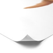 Whispering Meerkat Affirmaties Poster (Hoek)