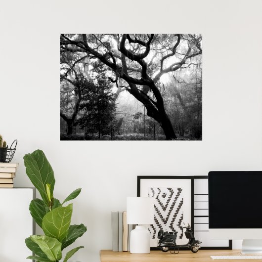 Whispering Oaks Poster (Thuiskantoor)