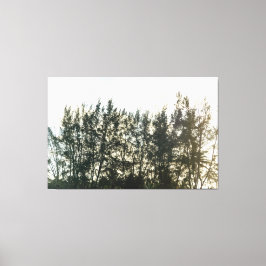 Whispering Pines of Taquari Canvas Afdruk