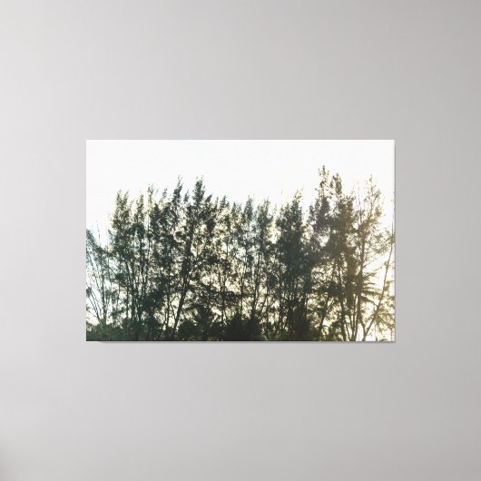 Whispering Pines of Taquari Canvas Afdruk (Voorkant)