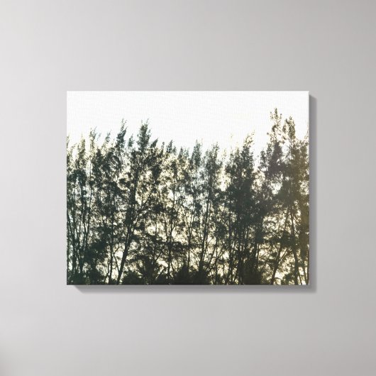 Whispering Pines of Taquari Canvas Afdruk (Voorkant)